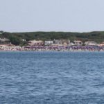 Le Regole di Buona Condotta in mare per l’osservazione dei delfini ad Ostia