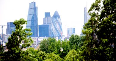 The London Skyline is visible through the trees from Stave Hill