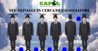 Sei olivaggi in cerca di assaggiatori