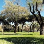 Nasce patto con volontari di Retake Roma per cura del verde pubblico