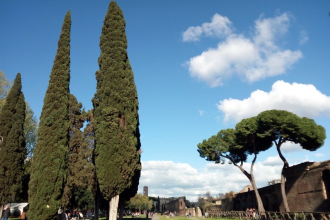Roma giardini viale carlo felice