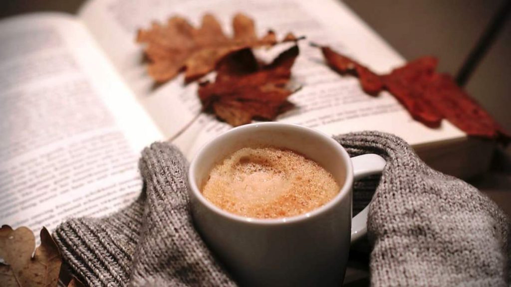 freddo - ph pixabay