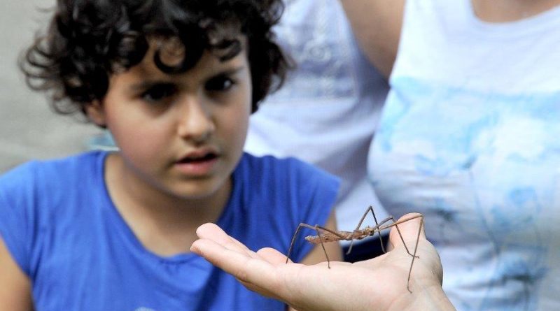 Bioparco una giornata con Millepiedi