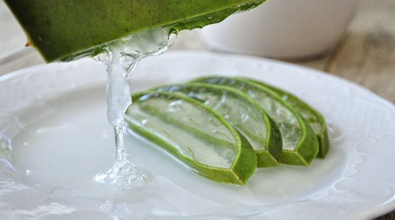 Proprietà e benefici curativi della Aloe Vera