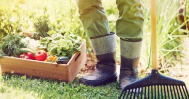 I 3 migliori siti di giardinaggio e orto da seguire