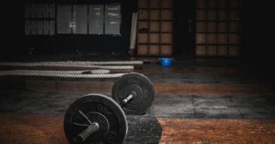 https://www.allenamentofunzionalemilano.net/palestre-di-calisthenics-a-milano/
