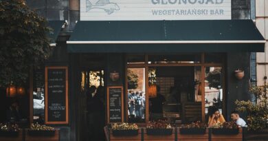 Breslavia, la città dei ponti e dei nani