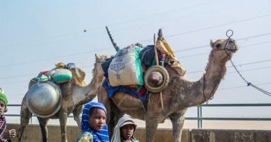 La Costa Nigeriana: spiagge, isole e relax sul Golfo di Guinea