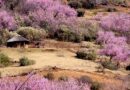 Katse Dam e la potenza dell’acqua: il cuore energetico e idrico dell’Africa australe