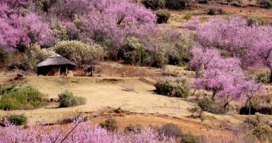 Katse Dam e la potenza dell’acqua: il cuore energetico e idrico dell’Africa australe
