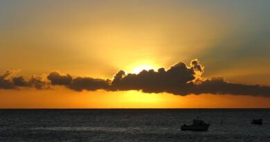 Ecoturismo alle Barbados: tra tartarughe marine e giungle tropicali