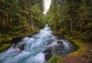 La costa dell’Oregon: panorami mozzafiato tra scogli e fari
