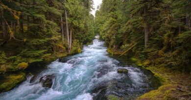 La costa dell’Oregon: panorami mozzafiato tra scogli e fari
