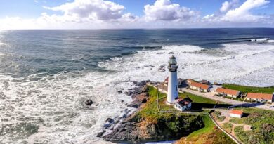 San José, capitale della Silicon Valley: tra tecnologia, musei interattivi e parchi futuristici