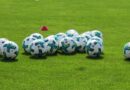 Parma-Pisa: tre punti pesantissimi per i toscani, ducali sempre più nei guai