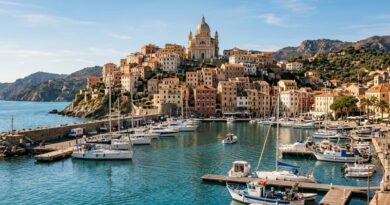 Imperia, Museo dell’Olivo e dell’Olio: storia, tradizione e cultura ligure