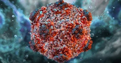 Allarme in Alto Mare: Cos’è l’Hantavirus, il Killer Invisibile che ha Colpito una Nave da Crociera