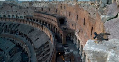 “Orme nel Tempo”: nasce a Roma il percorso che unisce Colosseo e Bioparco tra archeologia, natura e sostenibilità