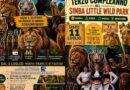 A Latina avventura e divertimento al Simba Little Wild Park
